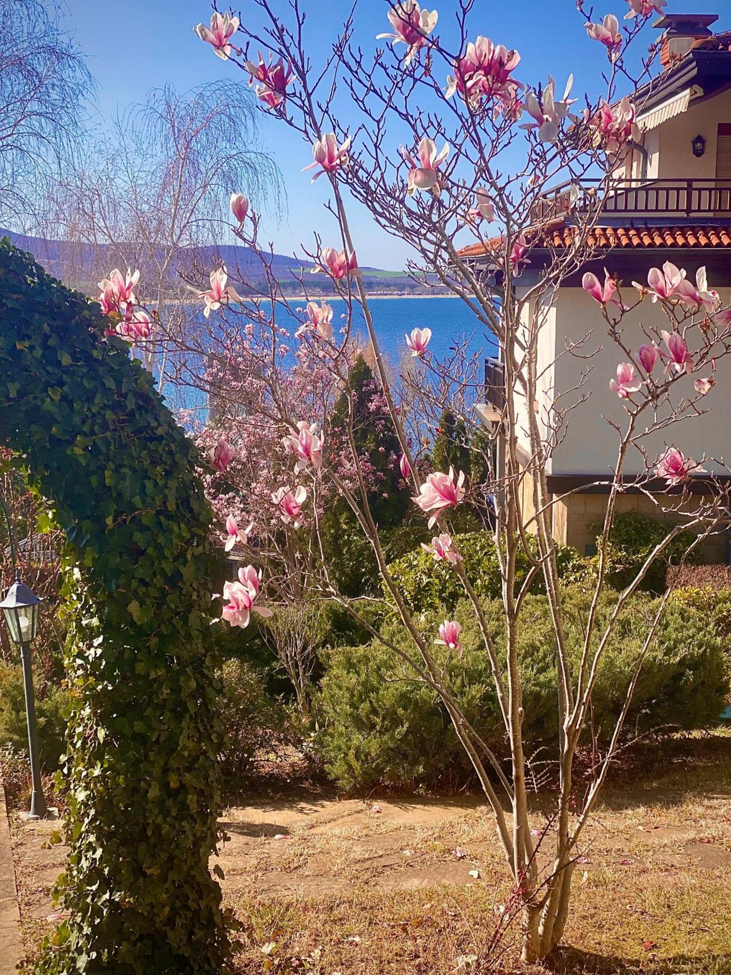 Aj Apartment 1 With Pool View, Santa Marina Holiday Village, Süzebolu Dış mekan fotoğraf